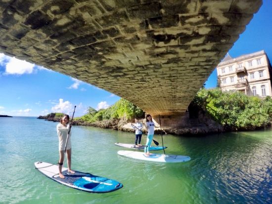 野生のウミガメに会えるSUP(スタンドアップパドル)体験　参加年齢4歳〜79歳　ペット同伴OK〈高画質写真＆動画付き〉by オーシャンキング