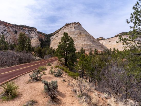 USA_Utah_Checkerboard Mesa_Zion National Park_shutterstock_1129387712