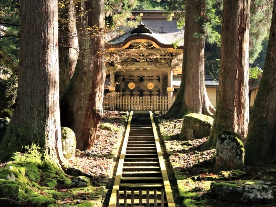 あわら温泉発日帰りバスツアー 東尋坊＋丸岡城＋永平寺 越前の定番観光スポット3か所を巡る＜土日祝運行／1日／金沢駅・芦原温泉駅・あわら湯のまち駅降車可＞