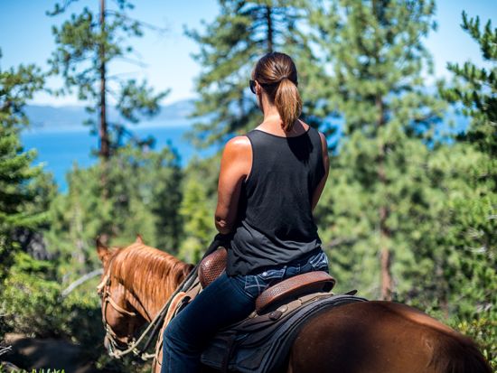 ハワイ島　乗馬ツアー　知られざる秘境ハマクア・コーストの山から海へと続く絶景トレイルコース ＜午前・午後／英語ガイド＞by ワイピオ・オン・ホースバック