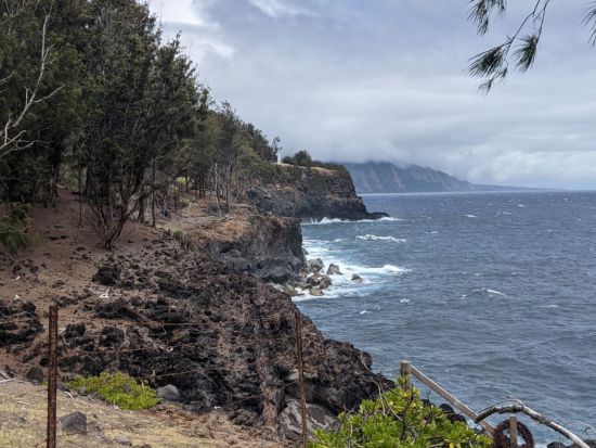 ハワイ島　乗馬ツアー　知られざる秘境ハマクア・コーストの山から海へと続く絶景トレイルコース ＜午前・午後／英語ガイド＞by ワイピオ・オン・ホースバック