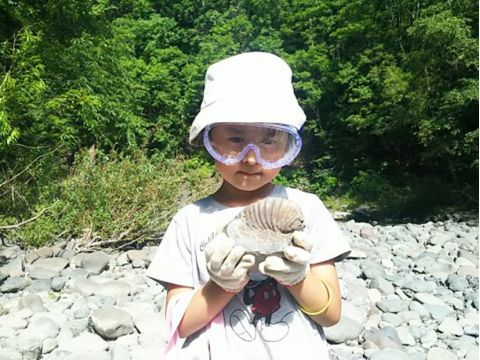 富良野 化石採取ツアー 川や山の石をトンカチで叩けば、アンモナイトが出てくるかも？＜5～9月／5歳以上／富良野市内送迎可／富良野市＞by レジャーガイド 遊び屋