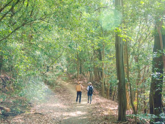 086AFA95-B8DC-4972-A236-137D7851A883