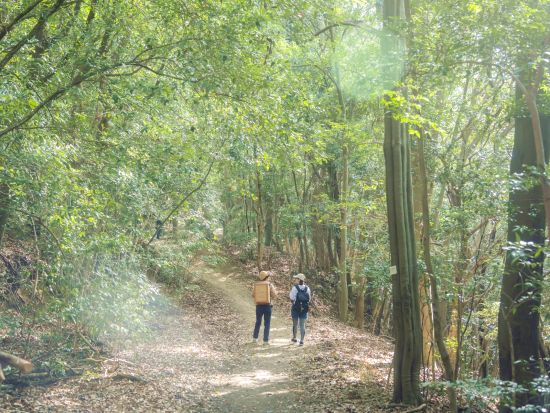 Asageshiki 広島のパワースポット二葉山の絶景と歴史に触れる早朝ハイキング ＜3時間／1-6名／広島市＞