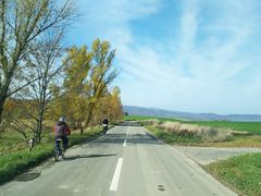DSC_0024-600x400