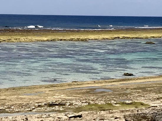 リーフトレック サンゴ観察ツアー  岸からサンゴ礁嶺まで歩いて行く干潮時限定ツアー＜沖永良部島＞