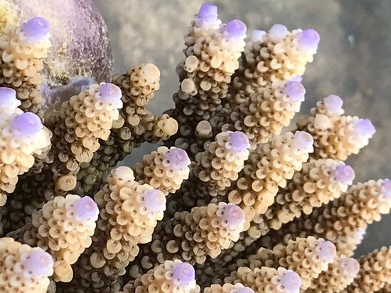 繝ｪ繝ｼ繝輔ヨ繝ｬ繝・け・域ｭｩ縺搾ｼ噂IMG_2780