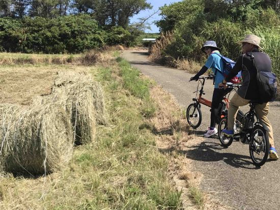 沖永良部島サイクリングツアー　住吉暗川（クラゴー）＋昇竜洞＋大山＋芭蕉布工房＋田皆岬　屋子母海岸から出発！ 島の南西部をたっぷり探索＜昼食付／沖永良部島＞