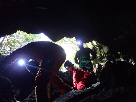 青木ヶ原樹海＆氷の洞窟探検ツアー　おしゃべり好きなガイドがご案内！＜写真データ付き／河口湖・西湖・富士吉田市発＞