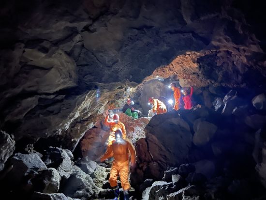 青木ヶ原樹海＆氷の洞窟探検ツアー　おしゃべり好きなガイドがご案内！＜写真データ付き／河口湖・西湖・富士吉田市発＞