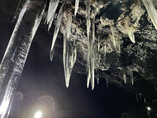 青木ヶ原樹海＆氷の洞窟探検ツアー　おしゃべり好きなガイドがご案内！＜写真データ付き／河口湖・西湖・富士吉田市発＞
