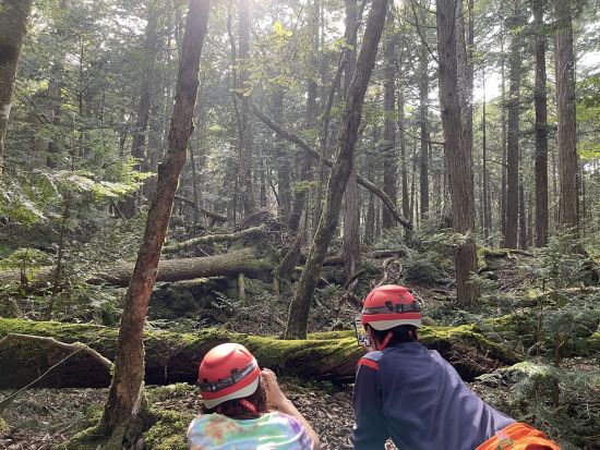 青木ヶ原樹海＆氷の洞窟探検ツアー　おしゃべり好きなガイドがご案内！＜写真データ付き／河口湖・西湖・富士吉田市発＞