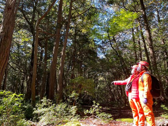 E64D94D5-E77F-45DA-B6C3-331AB6C0039E