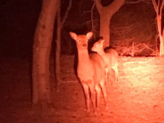 4603DCF1-A3FE-4D39-A36B-20B860FA724C