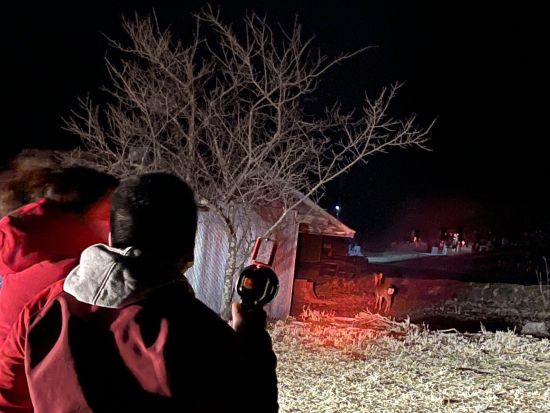 西湖 野生の鹿観察ナイトツアー　知識豊富な専門ガイドがご案内！＜返金保証付き／河口湖・西湖・富士吉田市発＞