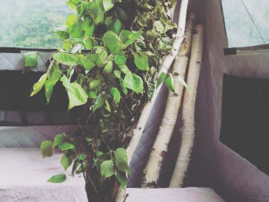 41dd812528ae057552f819de572072d9_79ae1b05e113b8cf31f70bda9729a6d8