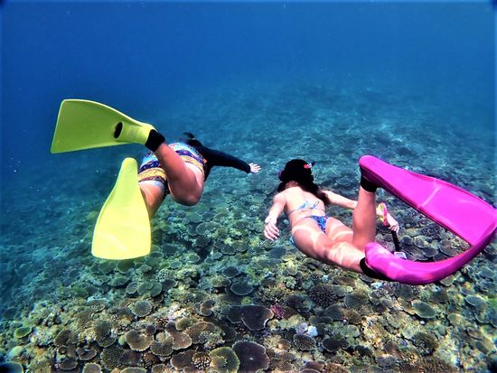 郢ｧ・ｹ郢ｧ・ｭ郢晢ｽｳ郢敖郢ｧ・､郢晁侭ﾎｦ郢ｧ・ｰ遶ｭ・｡