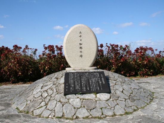 喜界島の絶景と歴史を巡る観光ツアー 源氏・平家と琉球の伝承を辿る 喜界島認定エコツアーガイドがご案内＜島内送迎付き／半日＞