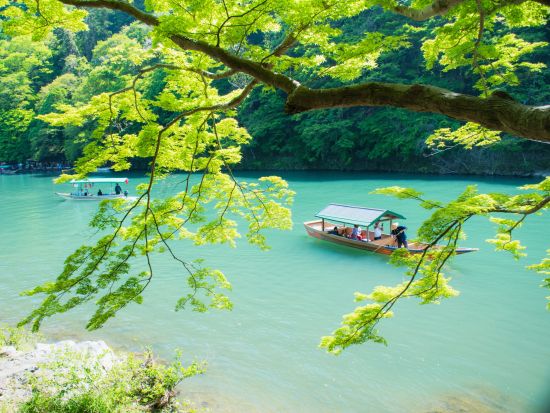 【10名以上の団体ご予約】京のお弁当付き！京都・嵐山 貸切屋形船 水面から季節を楽しむ優雅な舟遊び＜お弁当付／1時間貸切＞by 嵐山通船