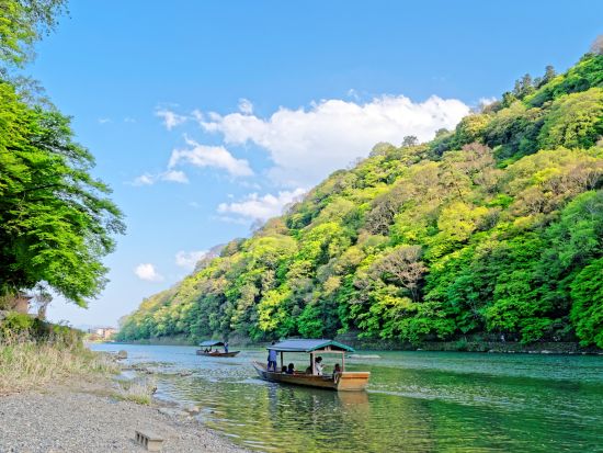【10名以上の団体ご予約】京のお弁当付き！京都・嵐山 貸切屋形船 水面から季節を楽しむ優雅な舟遊び＜お弁当付／1時間貸切＞by 嵐山通船