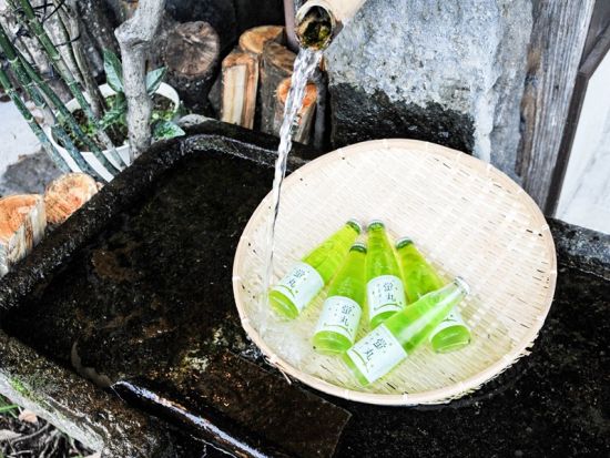 【阿蘇駅周辺または黒川温泉発／阿蘇着】貸切観光タクシー阿蘇の絶景満喫コース 草千里＋阿蘇山火口＋白川水源＋阿蘇神社＋阿蘇の郷土料理　選べる降車地＜約5時間～＞