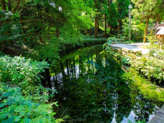 【熊本市内発／阿蘇着】貸切観光タクシー　阿蘇の絶景満喫コース 草千里＋阿蘇山火口＋白川水源＋阿蘇神社＋阿蘇の郷土料理店　＜約6時間＞ by阿蘇観光タクシー