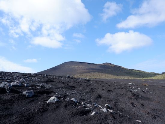 伊豆大島 貸切観光タクシー　短時間で周るサクッとコース ＜1～2時間／1～9名／日本語ドライバーガイド＞