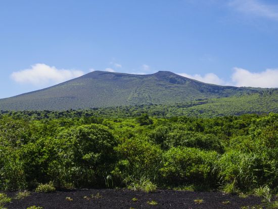 伊豆大島 貸切観光タクシー　定番の観光スポットを巡るおすすめコース ＜3～4時間／1～9名／日本語ドライバーガイド＞