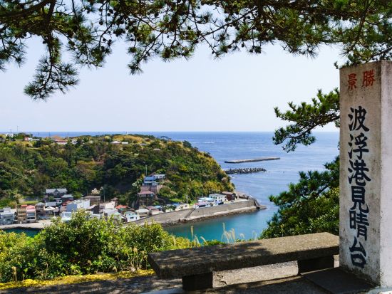 伊豆大島 貸切観光タクシー　定番の観光スポットを巡るおすすめコース ＜3～4時間／1～9名／日本語ドライバーガイド＞