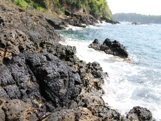 e3d463204d2a01ef8c0ae11b0f2b8786