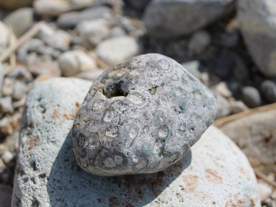 d8ea172c5488c9cf1b2874650ae2b083