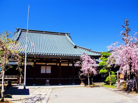 諏訪七福神めぐり！ご利益たっぷりのパワースポットツアー＜2.5時間／選べる出発時間／貸切／諏訪市発＞