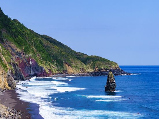 伊豆大島 貸切観光タクシー　定番の観光スポットを巡るおすすめコース ＜3～4時間／1～9名／日本語ドライバーガイド＞