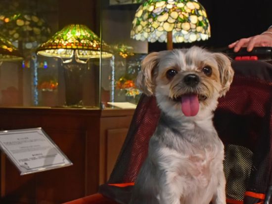 img_NYCmuseum_003_735_480