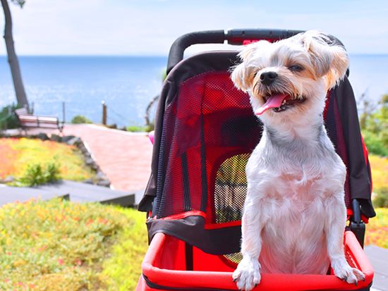 img_NYCmuseum_002_735_480