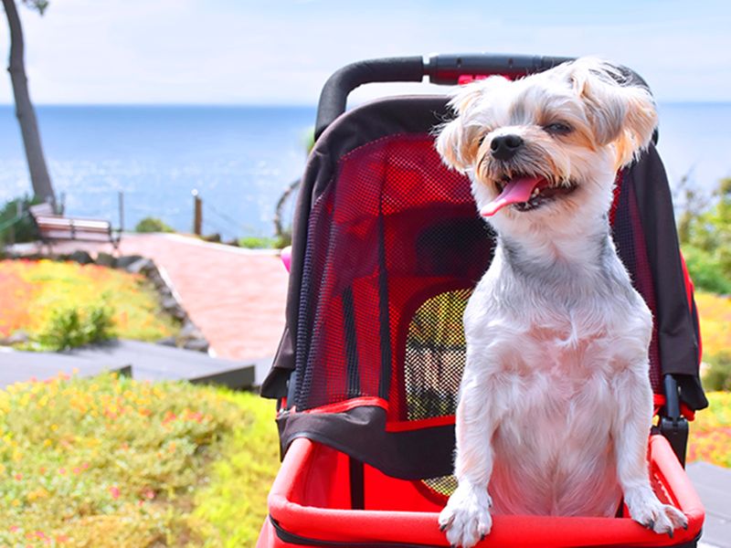 img_NYCmuseum_002_735_480