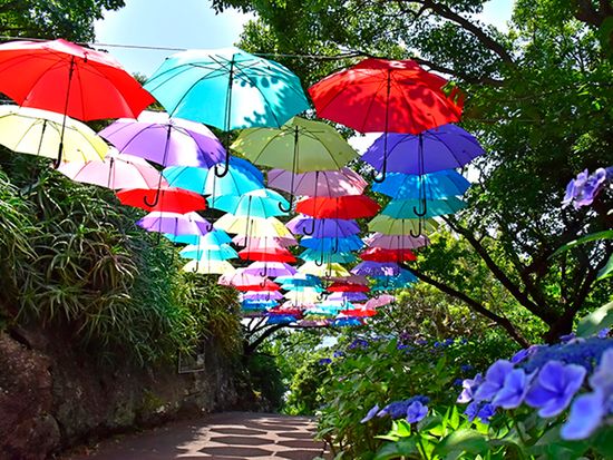 img_NYCmuseum_001_735_480