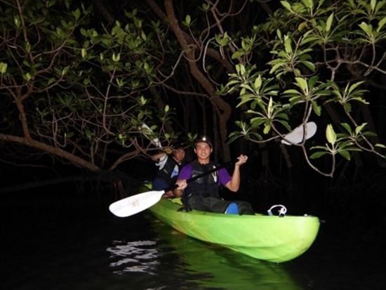 ナイトSUP or カヤック体験ツアー　ドキドキ度120%！暗闇のマングローブを探検 ＜1時間＞