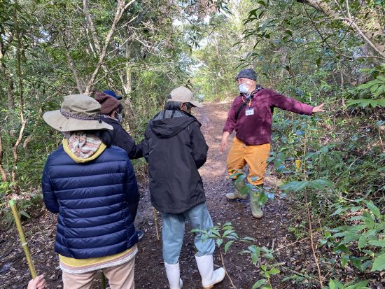 世界自然遺産の山で自然観察ハイキング エコツアーガイドと山に入って希少な生物を探そう！ ＜ガイド2名／1-3月限定／1日1組限定＞ by NPO法人徳之島虹の会