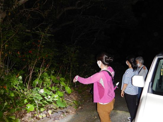 ナイトツアー②