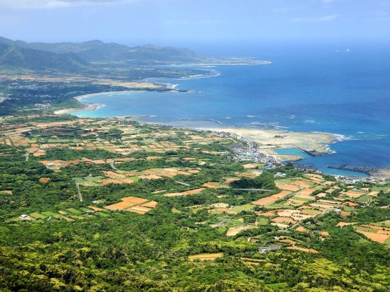 世界自然遺産の山で自然観察ハイキング エコツアーガイドと山に入って希少な生物を探そう！ ＜ガイド2名／1-3月限定／1日1組限定＞ by NPO法人徳之島虹の会