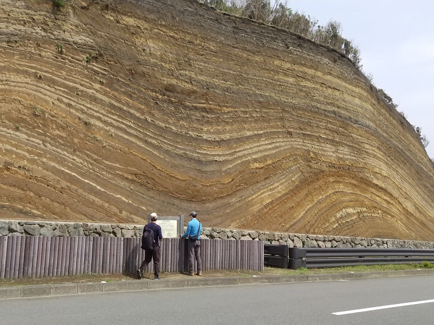 伊豆 人気 大島 パック