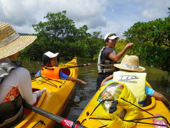 仲間川マングローブカヤック+トレッキングツアー　川遊びもしてリフレッシュ！＜1日／昼食付き／大原港または東部地区ホテル無料送迎／西表島＞