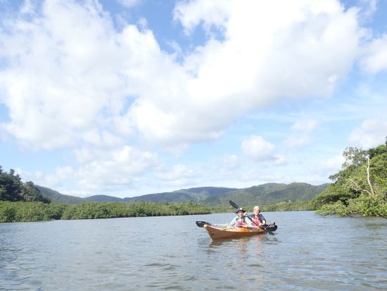 仲間川マングローブカヤックツアー　カヤック初心者も大歓迎！お手軽に半日で体験しよう＜午前または午後／大原港または東部地区ホテル無料送迎／西表島＞
