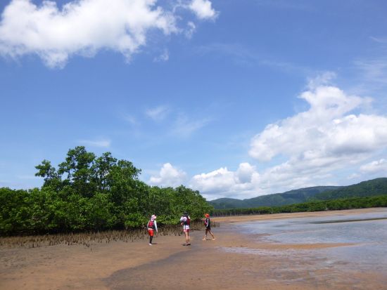 仲間川マングローブカヤックツアー　カヤック初心者も大歓迎！お手軽に半日で体験しよう＜午前または午後／大原港または東部地区ホテル無料送迎／西表島＞