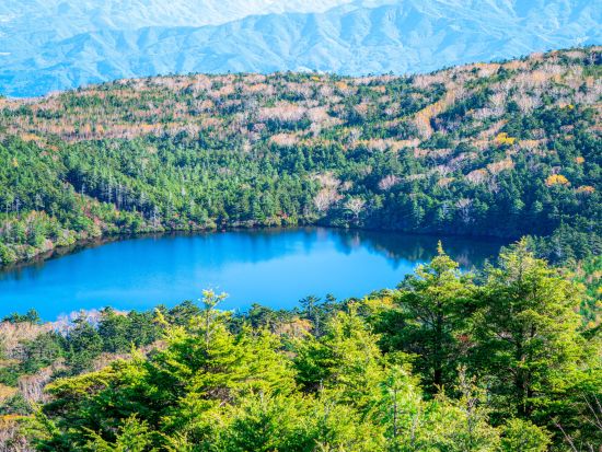 国宝『縄文のビーナス』鑑賞と横谷渓谷＋白駒池を巡る旅＜4時間／選べる出発時間／貸切／諏訪市発＞