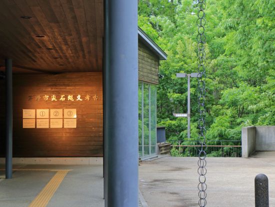 国宝『縄文のビーナス』鑑賞と横谷渓谷＋白駒池を巡る旅＜4時間／選べる出発時間／貸切／諏訪市発＞