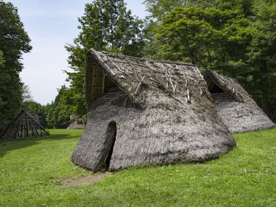 国宝『縄文のビーナス』鑑賞と横谷渓谷＋白駒池を巡る旅＜4時間／選べる出発時間／貸切／諏訪市発＞