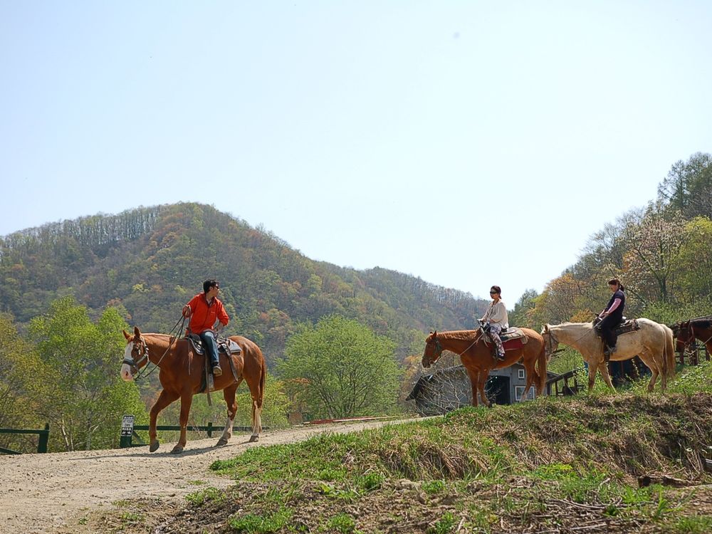 札幌発 小樽で乗馬体験 春香ホースランチ で海を一望できる乗馬体験 4 11月 送迎付 札幌発 札幌近郊の観光 遊び 体験 レジャー専門予約サイト Veltra ベルトラ