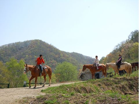 札幌発！小樽で乗馬体験 「春香ホースランチ」で海を一望できる乗馬体験♪＜4～11月／送迎付／札幌発＞